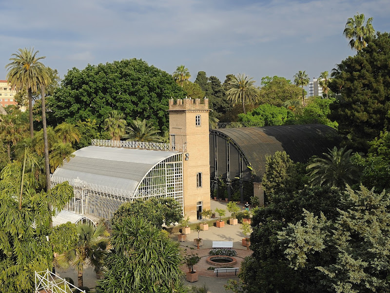 Jardí Botànic