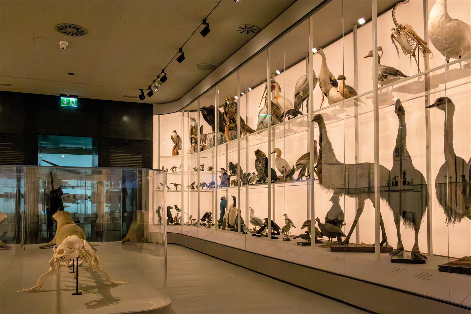 Croatian Natural History Museum