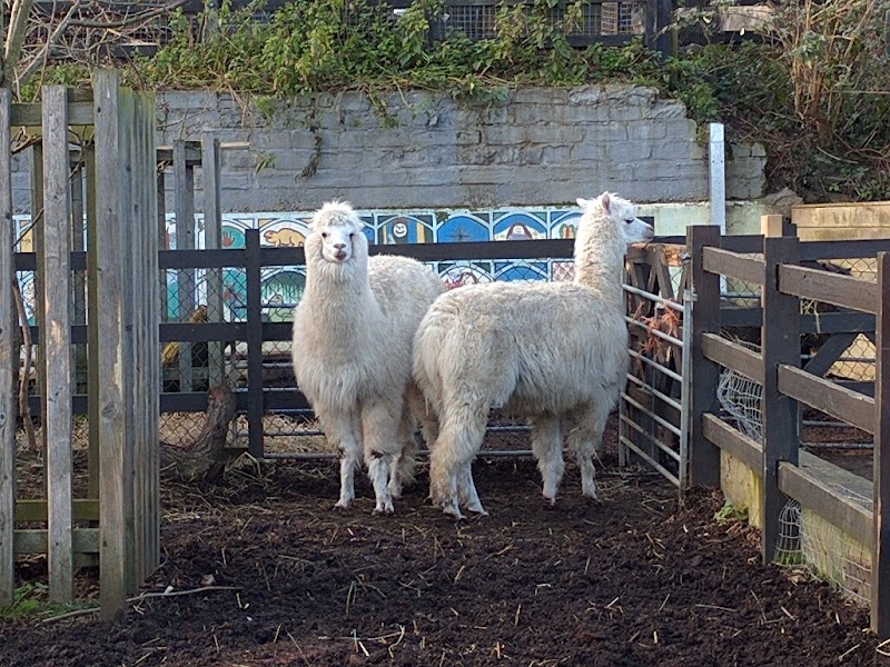 Crystal Palace Park Farm