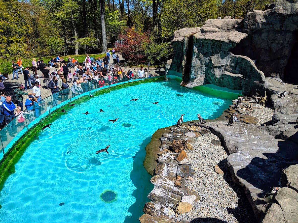 Kraków Zoo