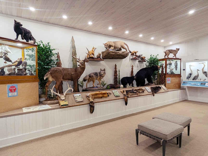 Carr’s Wildlife Centre