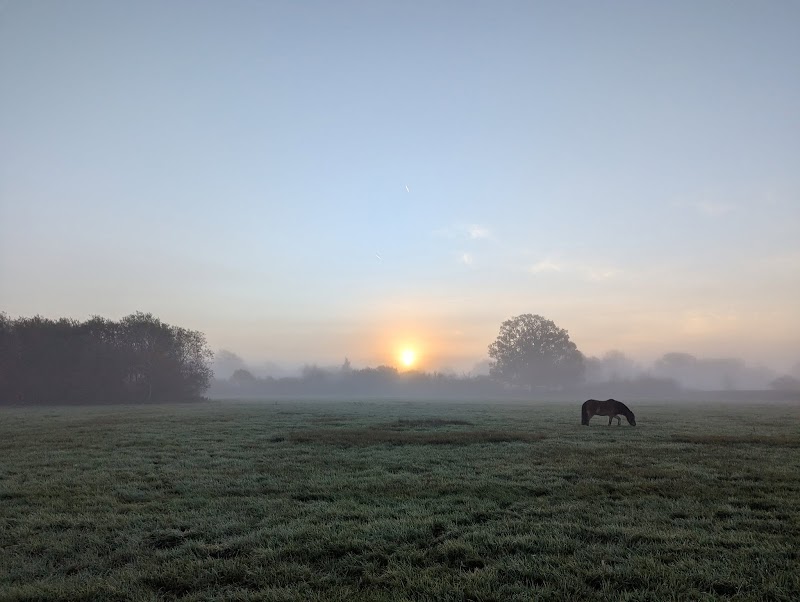 Yew Tree Farm School C.I.C.