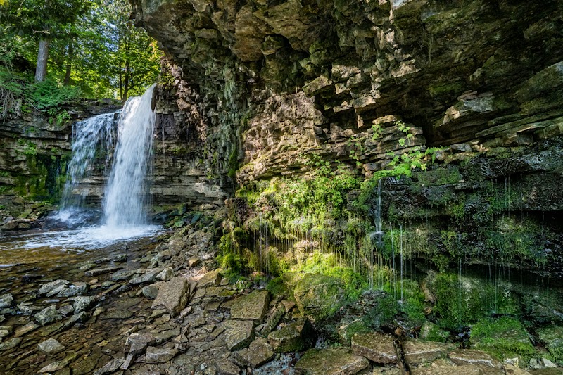 Hilton Falls Conservation Area