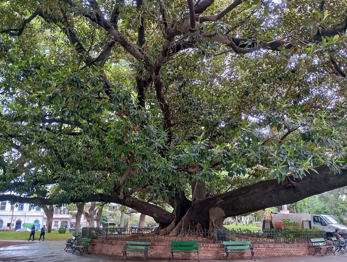 Vicente López y Planes Square