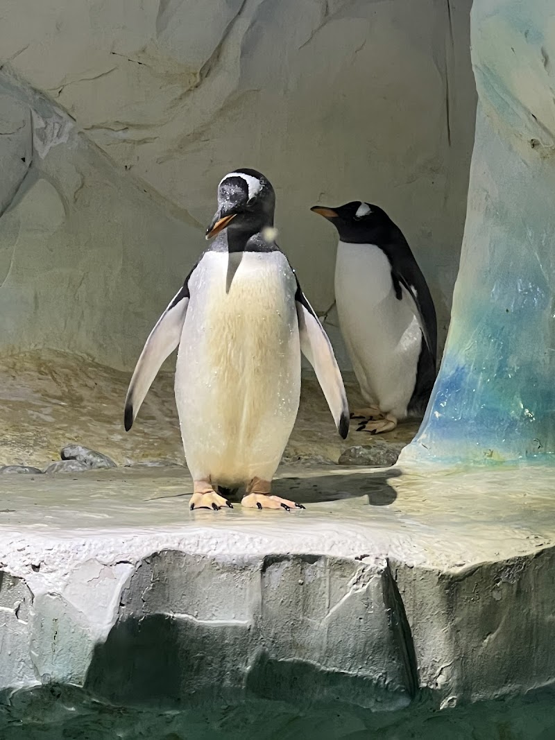 National SEA LIFE Centre Birmingham