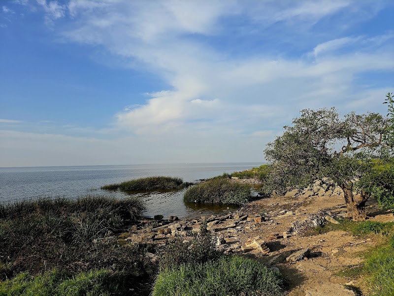 Costanera Vicente Lopez