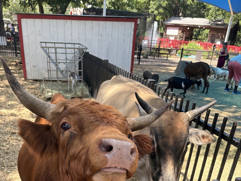 Animal Connection Experience at Fritz Park