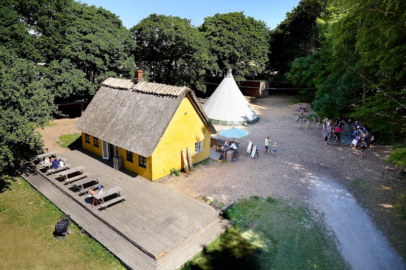 Gorilla Park Svendborg