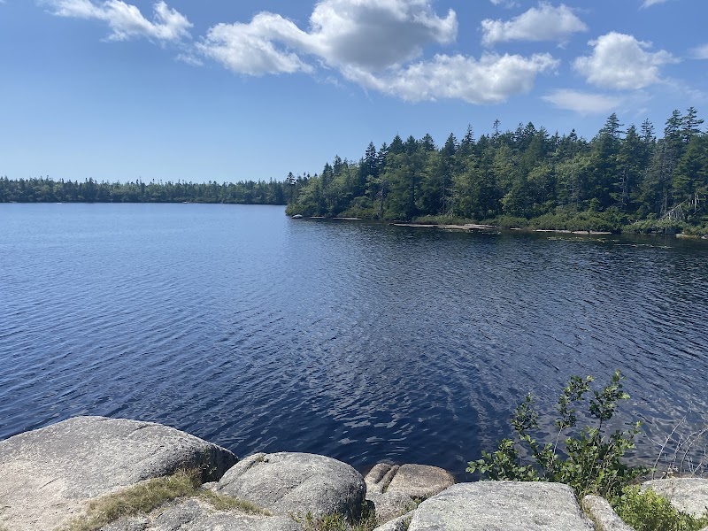 Swim Lakeside