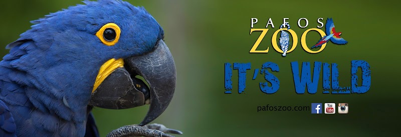 Ζωολογικός Κήπος Πάφου - Pafos Zoo