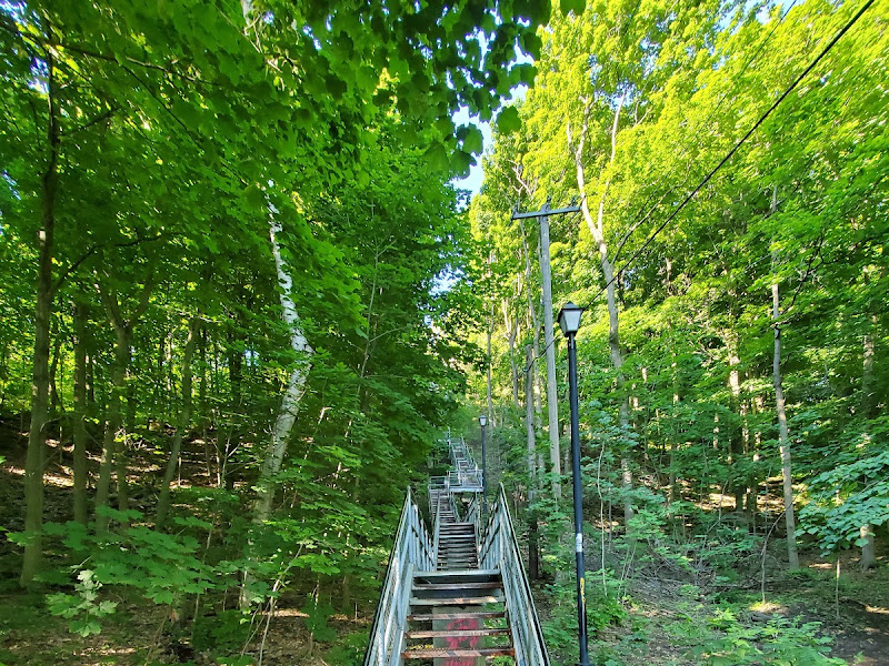 Chedoke Stairs