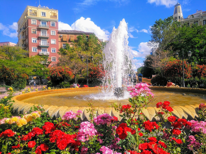 Olavide Square Gardens
