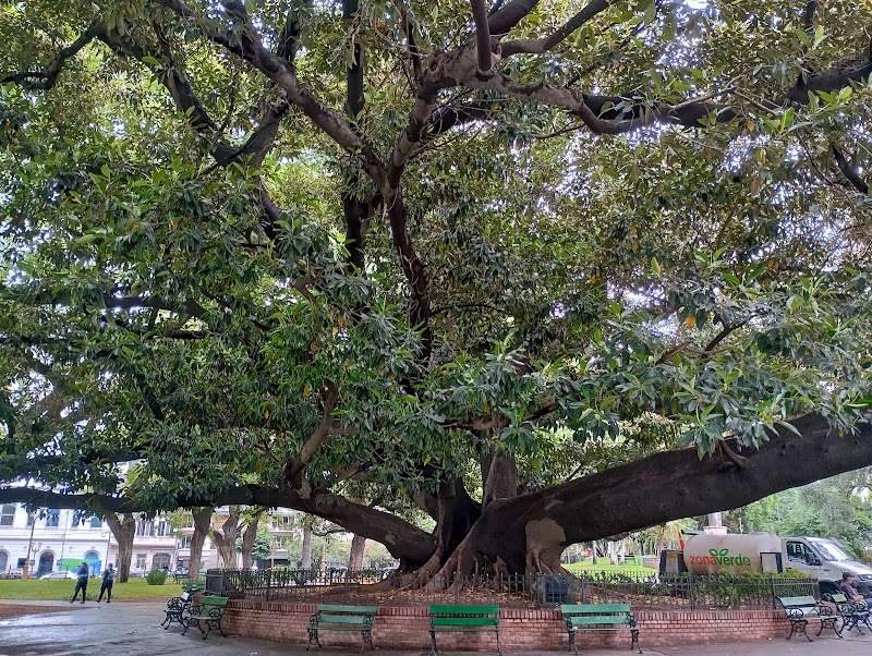 Plaza Vicente Lopez
