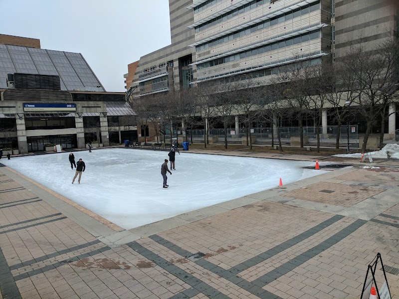 Mel Lastman Square Rink