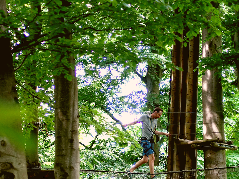 Funky Monkey Park