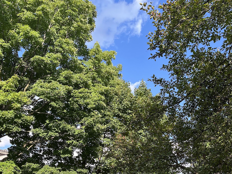 Jean-Jacques-Olier Park