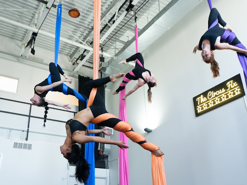 The Circus Fix