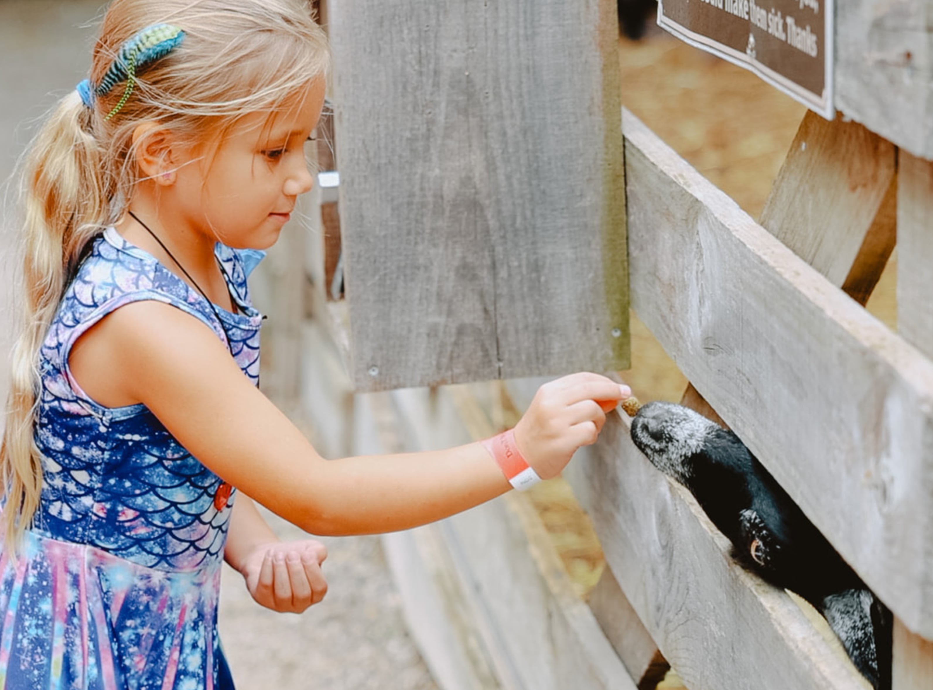 Clovermead Adventure Farm | Honey Shop