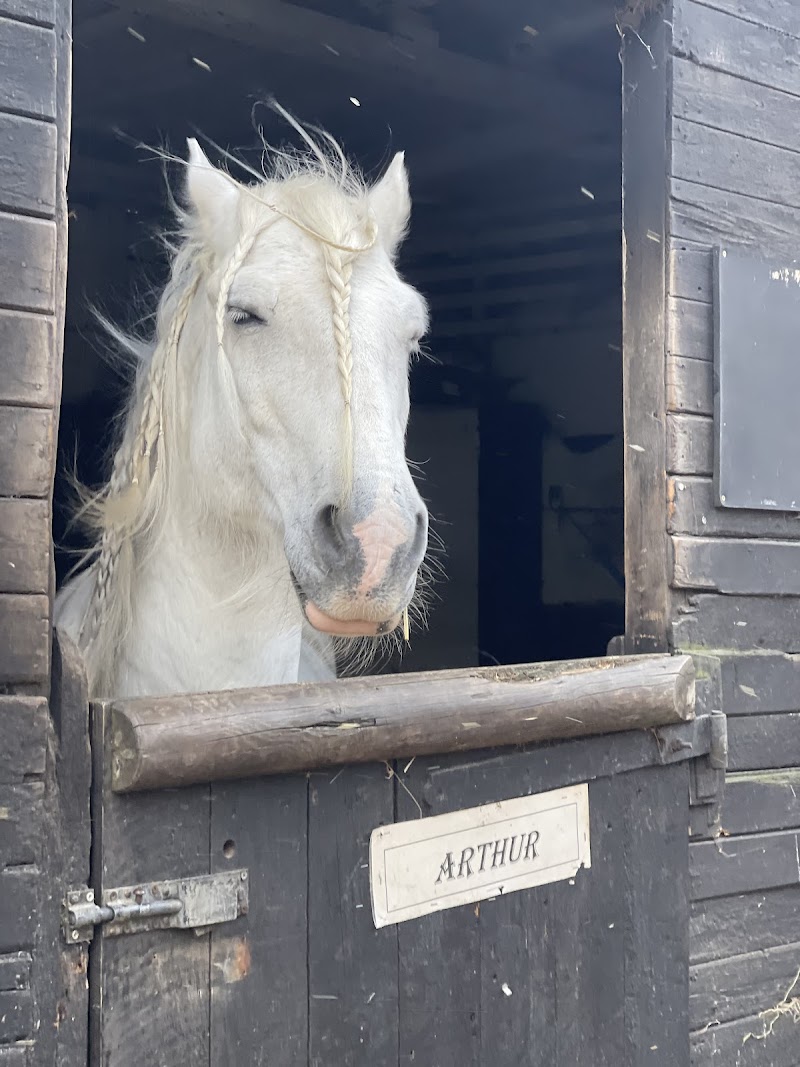 Aldersbrook Riding School