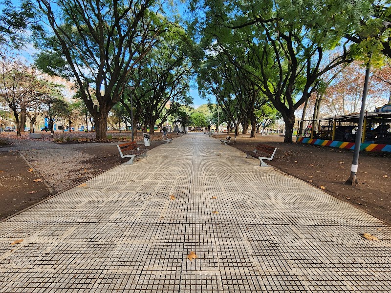 Plaza Pineral