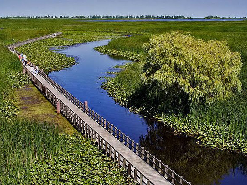 Point Pelee National Park