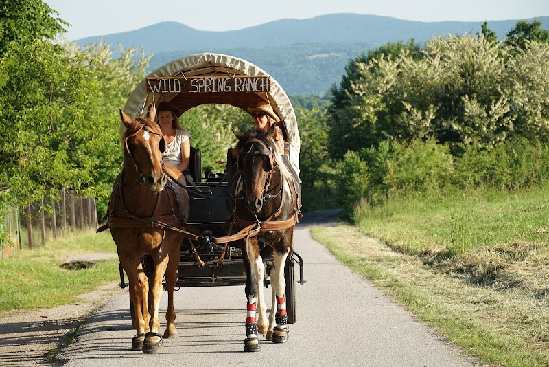 Wild Spring Ranch