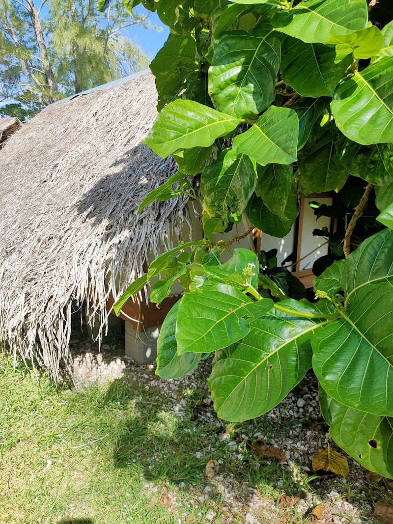 Mo'orea
