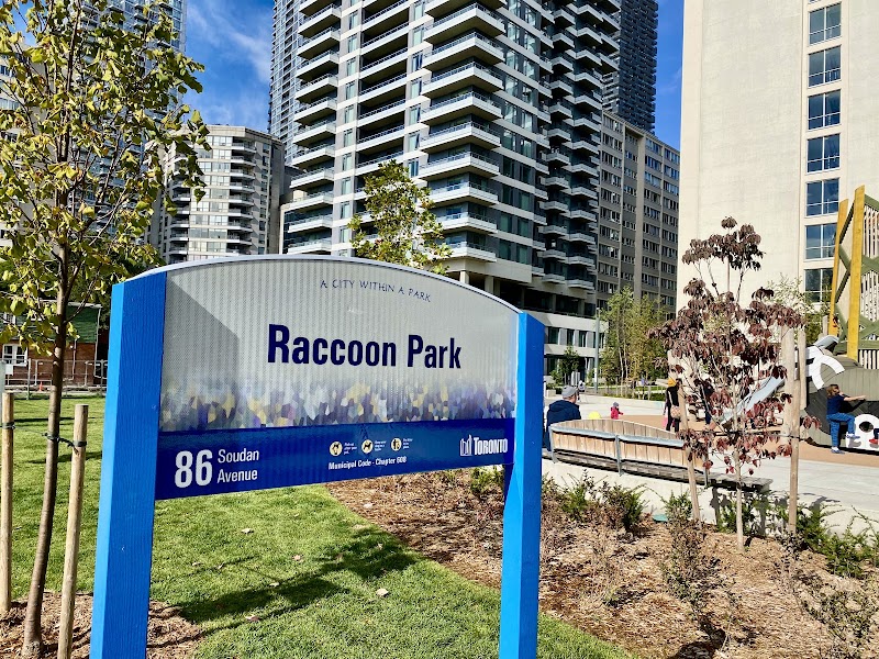 Raccoon Park