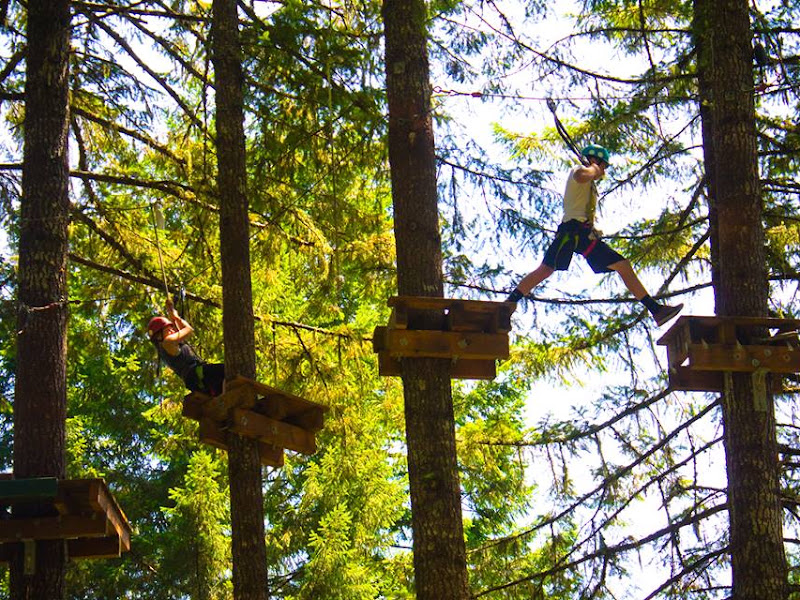 Tree to Tree Adventure Park