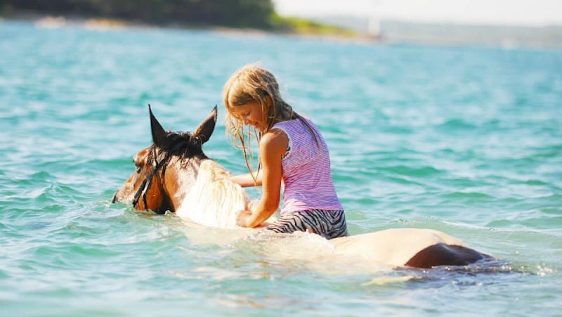 Liska Adventure Riding & Istra Horse Trekking