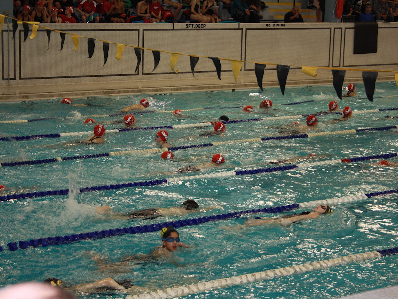 Oakville Aquatic Club