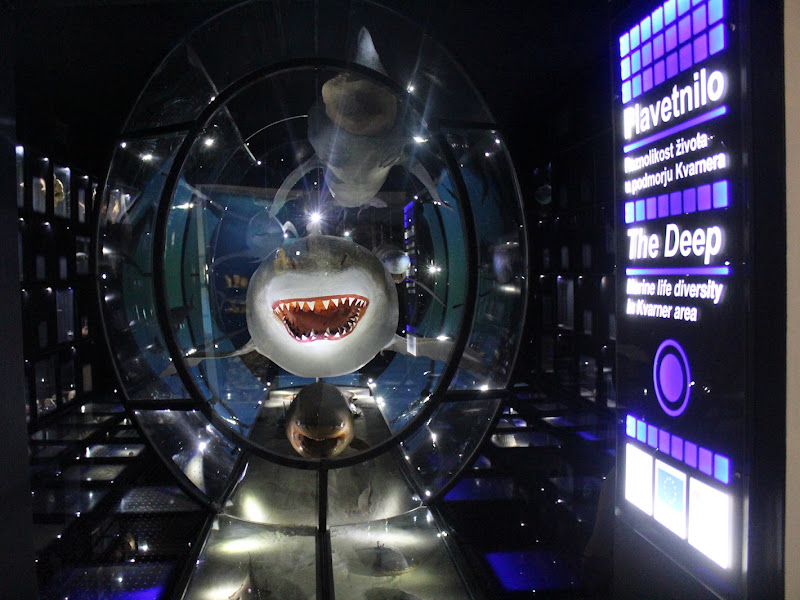 Natural History Museum Rijeka