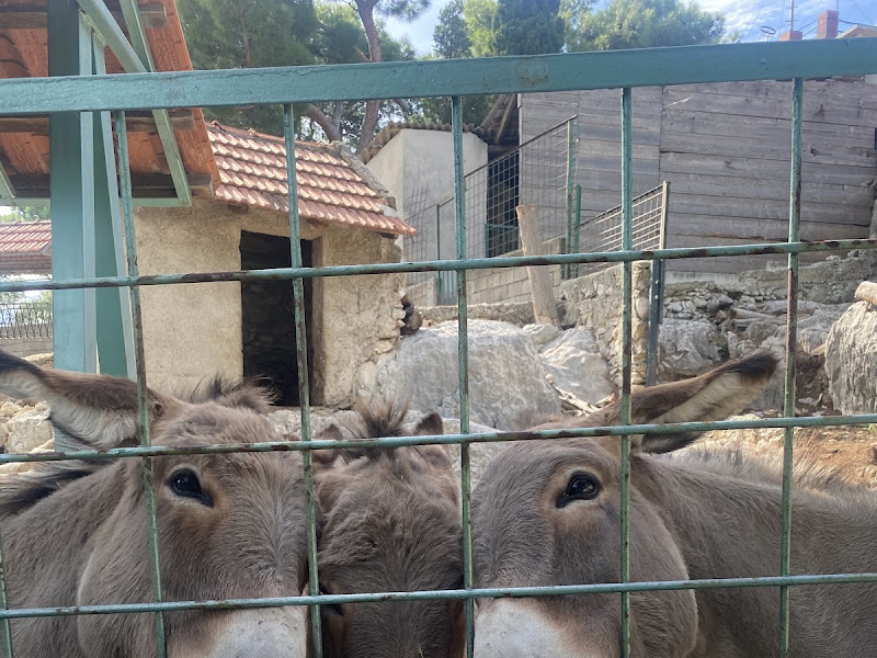 Prirodoslovni Muzej I Zoološki VRT - Split