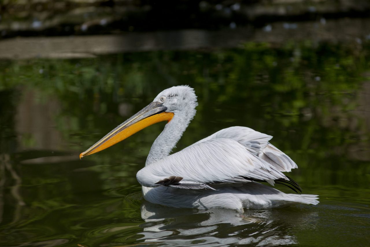 Zoo Zagreb