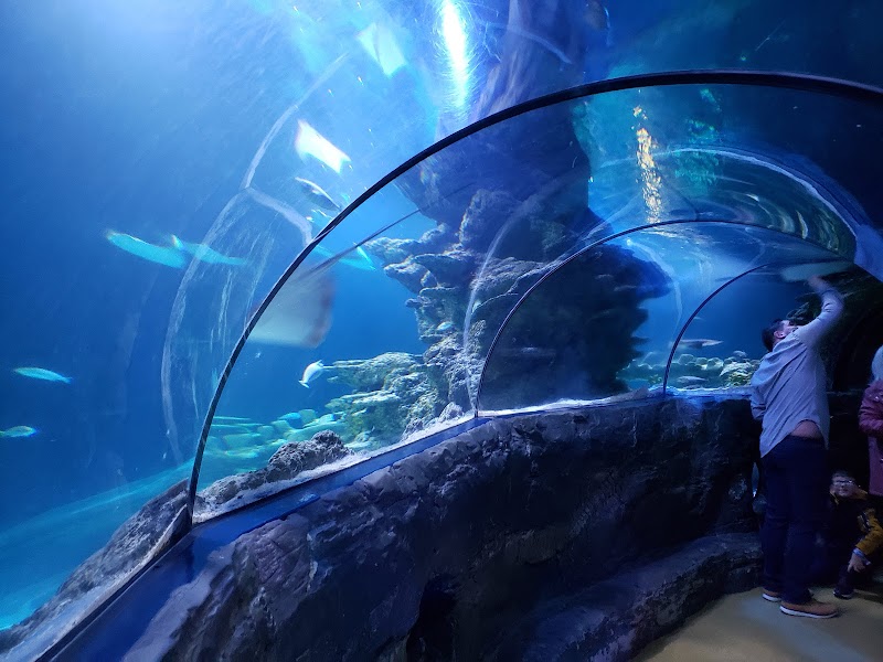 SEA LIFE Centre London Aquarium