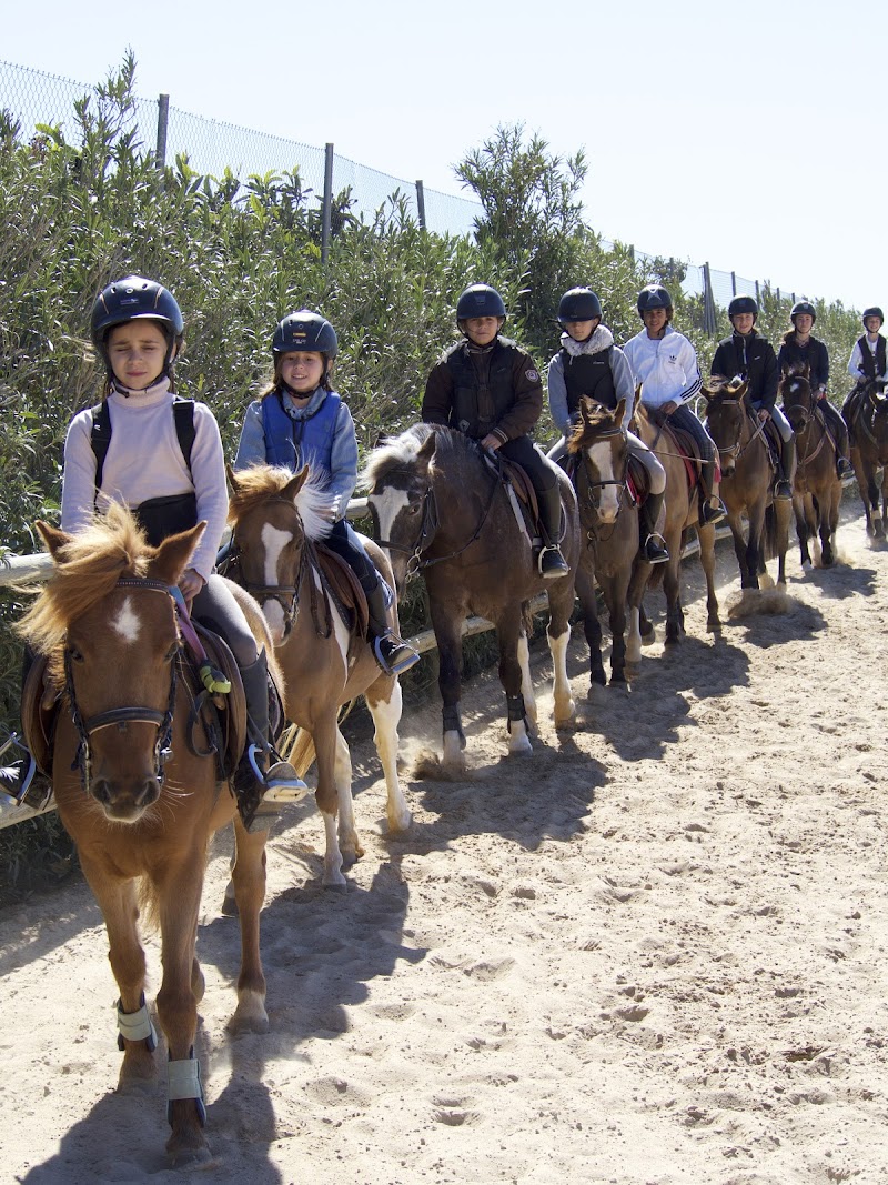 Pony club La Finca Ecuestre. Escuela hípica. Pony y caballos. Equitación