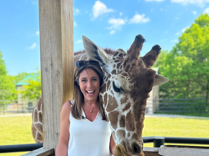 Safari Niagara