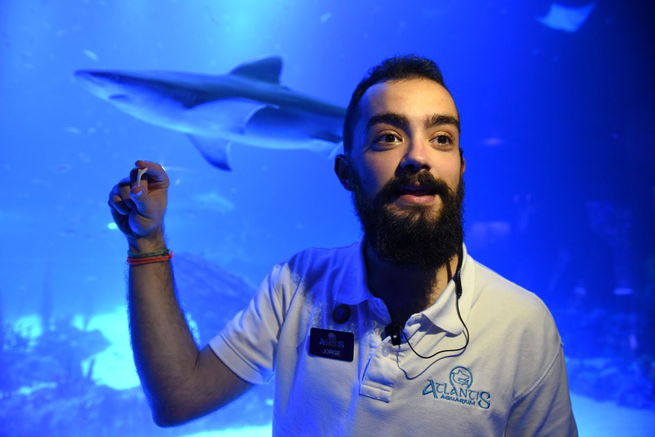 Atlantis Aquarium Madrid