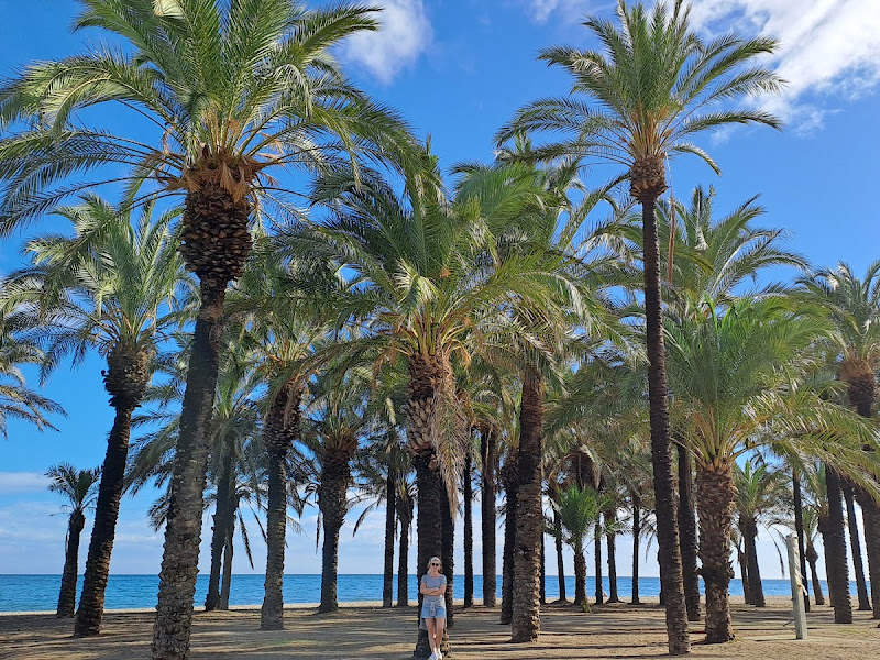 Playa de los Álamos