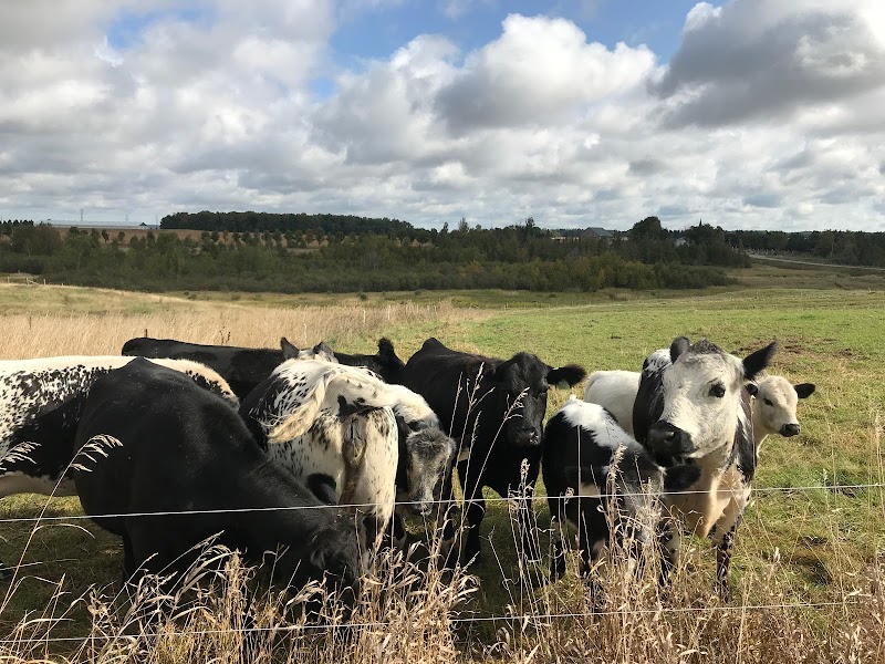 Barnarrow Farm