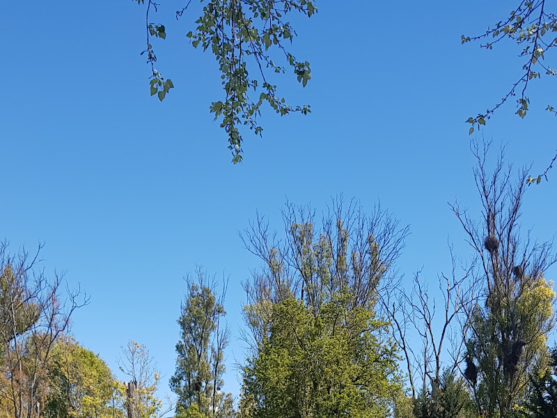 Alberti Park