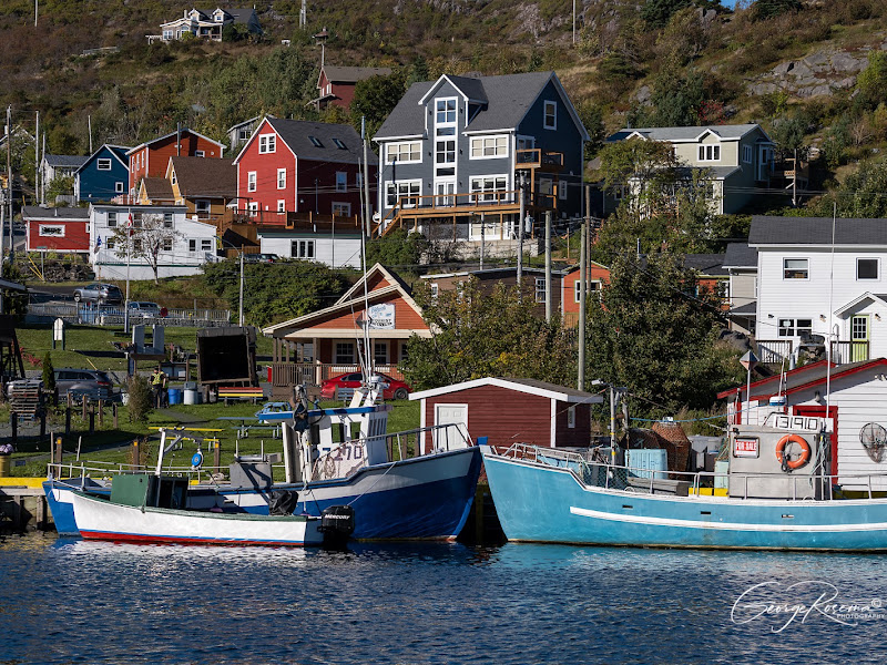 Petty Harbour Mini Aquarium