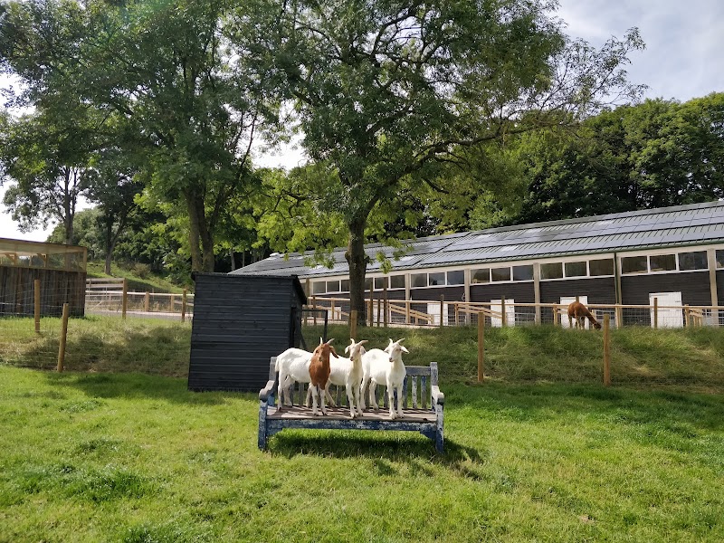 Belmont Children's Farm