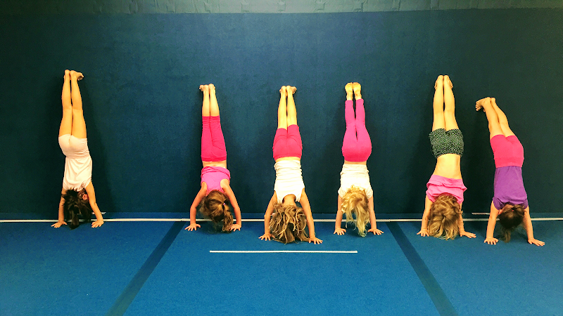 High Junction Gymnastics Inc