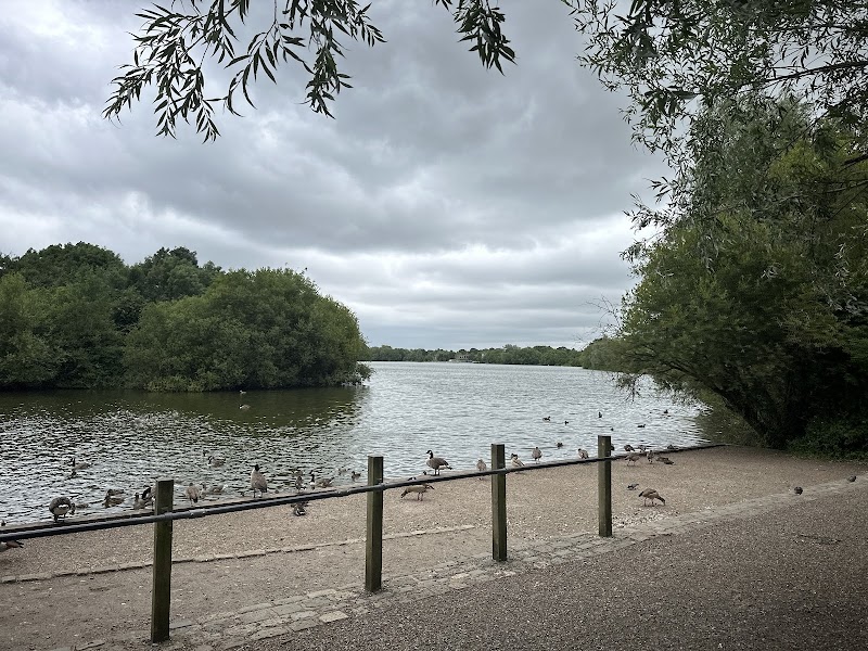 Dinton Pastures Country Park