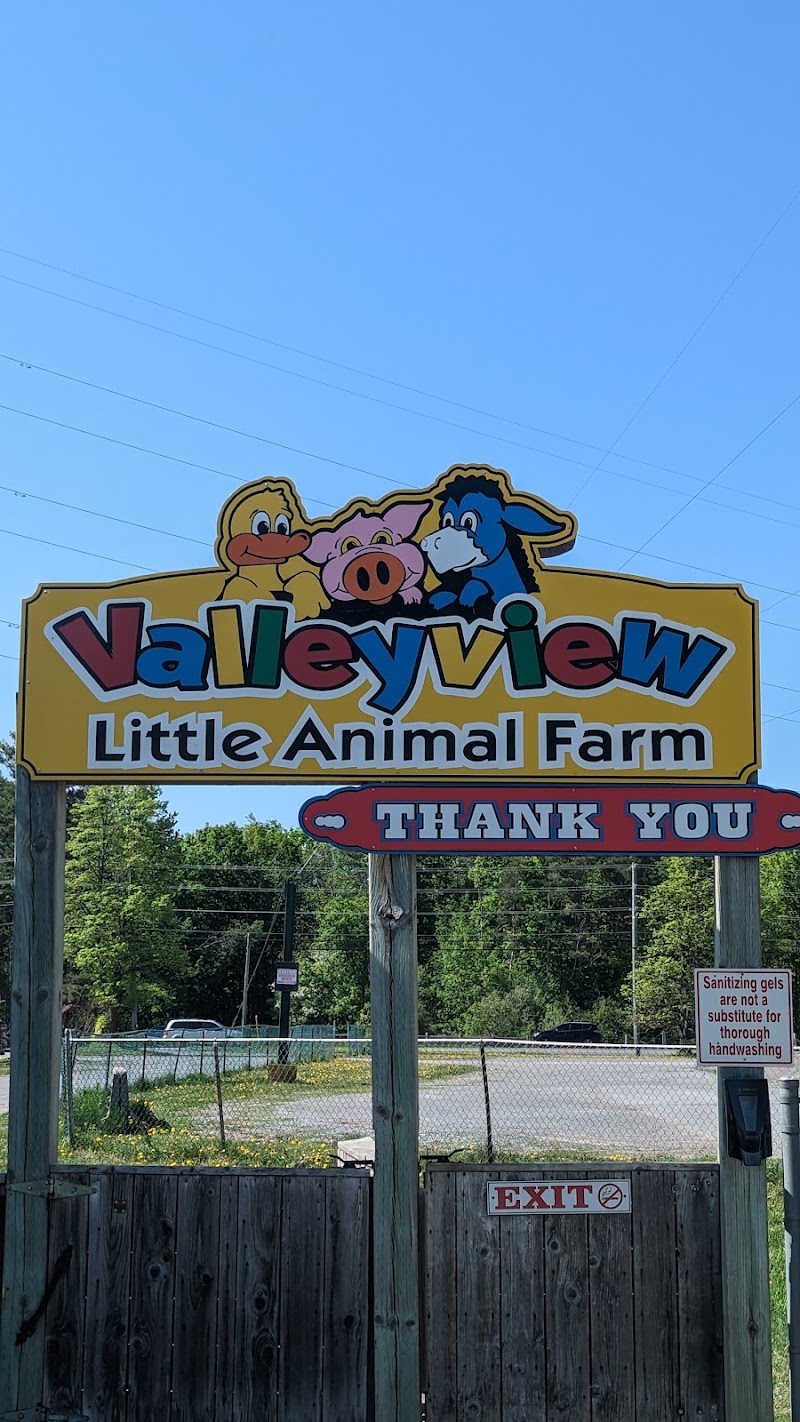 Childrens Farm Park