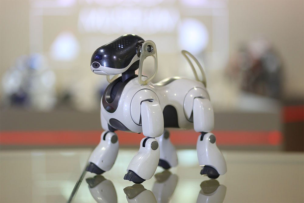 The Robot Museum