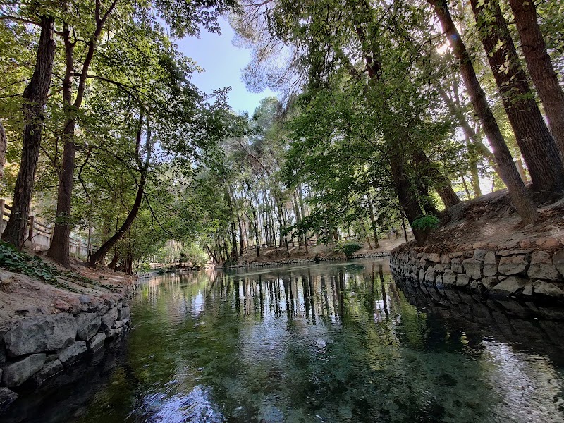 Parc Municipal de Sant Vicent