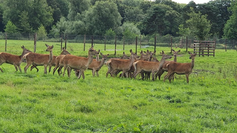 Sky Park Farm
