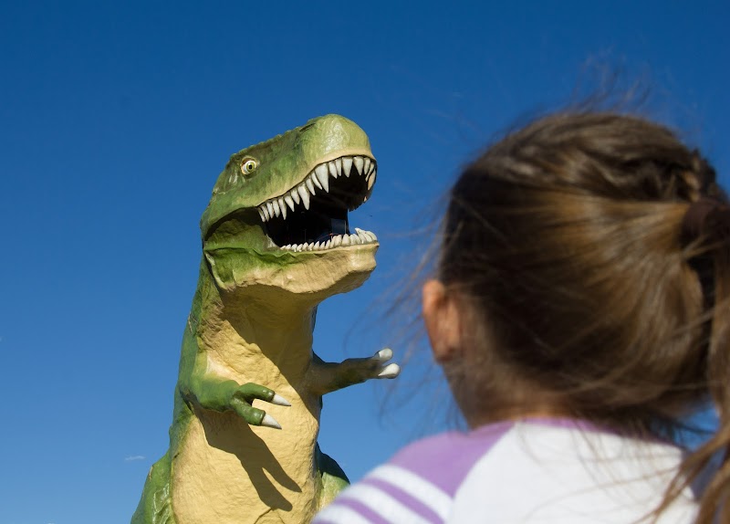 The Largest Dinosaur in the World - Patagotitan mayorum